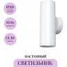 Настенный светильник (бра) MAYTONI FOCUS S C068WL-02W