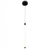 Подвесной светильник MAYTONI RAY P021PL-L10B
