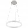 Подвесной светодиодный светильник MAYTONI RIM MOD058PL-L22W4K