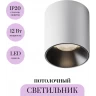 Потолочный светильник MAYTONI ALFA LED C064CL-12W4K-RD-WB