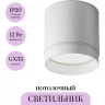 Потолочный светильник MAYTONI POLAR C088CL-GX53-W