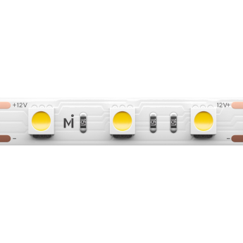 Светодиодная лента MAYTONI 201185 12В 5050 14,4Вт/м 6000K 5м IP 20