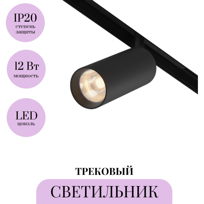 Трековый светильник MAYTONI ARTISAN TR097-2-12W3K-M-BB