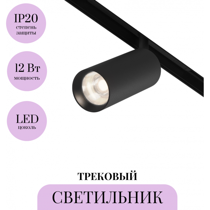 Трековый светильник MAYTONI ARTISAN TR097-2-12W4K-M-BB