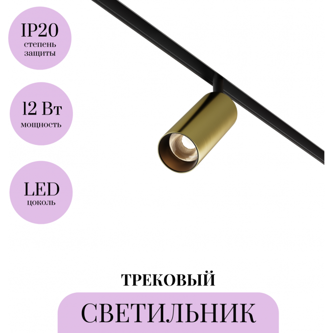 Трековый светильник MAYTONI FOCUS LED TR032-2-12W3K-M-BBS