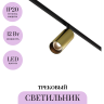 Трековый светильник MAYTONI FOCUS LED TR032-2-12W3K-M-BBS