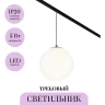 Трековый светильник MAYTONI LUNA TR039-2-5W4K