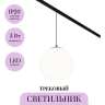 Трековый светильник MAYTONI LUNA TR039-4-5W3K-WW-DS